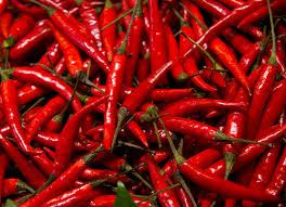 Manufacturers Exporters and Wholesale Suppliers of Red Chillies Erode Tamil Nadu